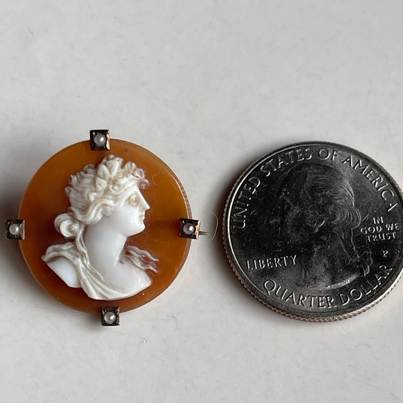Victorian Shell Carved Cameo t-bar c-clasp Brooch Seed Pearls - Picture 4 of 4